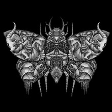 Illustration Butterfly With Dark Art Style