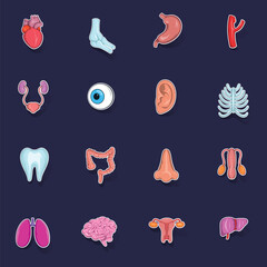 Wall Mural - Internal organs icon set stikers collection vector with shadow on purple background
