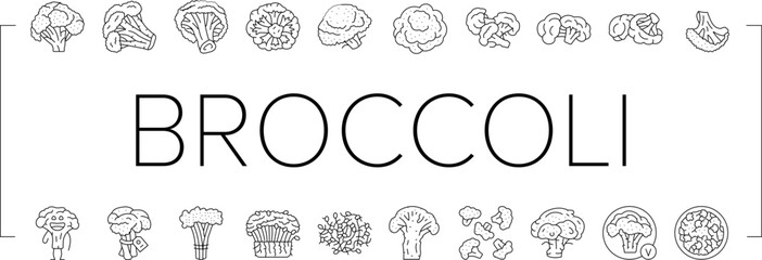 Sticker - broccoli food cabbage vegetable icons set vector