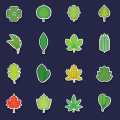 Poster - Different leafs icons set stikers collection vector with shadow on purple background