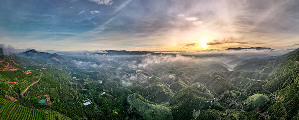 Wall Mural - Fanciful scenery of an early morning when the sun rises over the Dai Lao mountain range, Bao Loc district, Lam Dong province, Vietnam