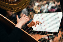 A Harp Player Plucking On The Strings Of The Instrument During A Classical Symphony Orchestra Performance
