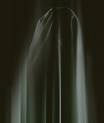 Wall Mural - Somethings lurking in the shadows...A ghostly apparition of a woman isolated on a black background.
