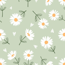 Seamless Pattern With Daisy Flower And Hand Drawn Hearts On Green Background Vector Illustration. Cute Floral Print.