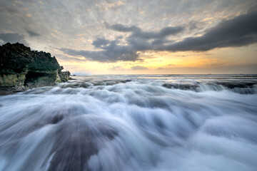 Wall Mural - Green sea moss on rocks with sea waves. Close-up shots