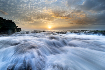 Wall Mural - Green sea moss on rocks with sea waves. Close-up shots