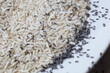 Rice weevil on rice. Close-up of rice weevil (Sitophilus oryzae) on raw rice in a plate which is a pest of rice that destroys many grains with copy space. selective focus