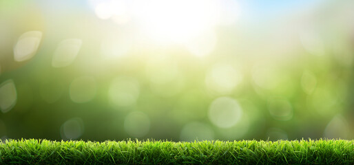 Wall Mural - fresh green garden grass lawn in spring, summer with bright bokeh of sun rays and blurred foliage of