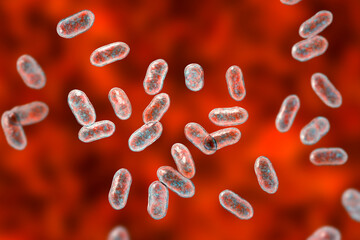 Poster - Prevotella bacteria, 3D illustration. Gram-negative anaerobic bacteria, cause anaerobic infections of respiratory tract and other location