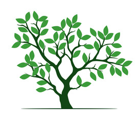 Wall Mural - Green tree isolated on white. Vector Illustration.