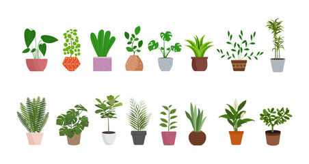 Indoor house plants vector set. Flat style illustration. Houseplant collection isolated on white background. House flowers, vector illustration