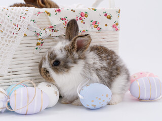 Wall Mural - Easter Bunny in a festive Easter basket with colored eggs on a white background