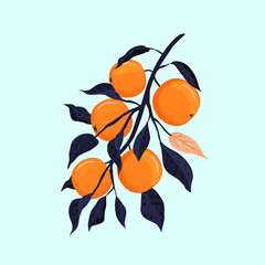 Orange branch. Decorative orange tree branch with fruits.