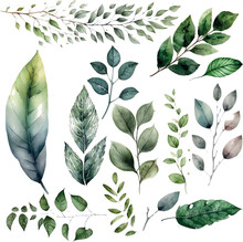 Vector Watercolor Set Of Branches With Green Leaves, For Wedding Invitations, Greetings, Wallpapers, Fashion, Prints. Eucalyptus, Olive Green Leaves.