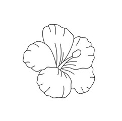 Wall Mural - Vector isolated one single flower with five petals colorless black and white contour line easy drawing