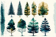 Trees different types of crowns 2D illustration ai