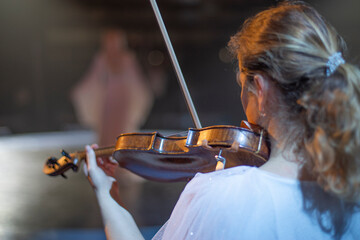 Wall Mural - violin at a concert