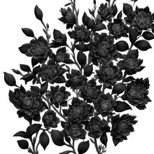 White Background Black Flowers Illustration 