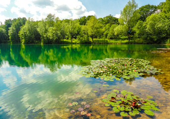  Lake water river in green turquoise blue color natural forest.