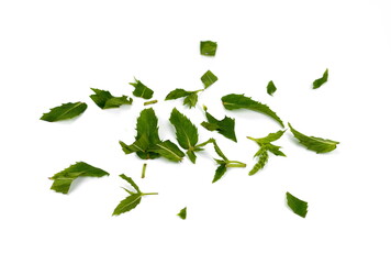 Wall Mural - Chopped Fresh Mint Leaves on white. Spice chopped Mint. Fresh chopped green Mint leaves isolated on white background. 