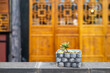 Cactus in a pot against yellow buddhist temple facade, Chengdu, Sichuan province, China