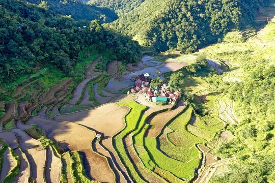 panorama drone shot over the rice terraces of banaue in the philippines, surrounded by green hills c