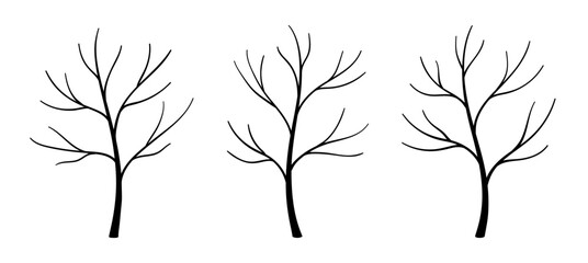 Silhouettes of trees without leaves