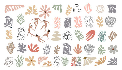 Wall Mural - Set of abstract organic shapes, exotic jungle leaves, female nude silhouettes, algae. Trendy Matisse inspired style. Contemporary art illustration isolated on transparent background. Digital stickers.