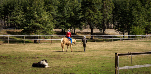 Wall Mural - Horse riding in Plana mountain, Bulgaria