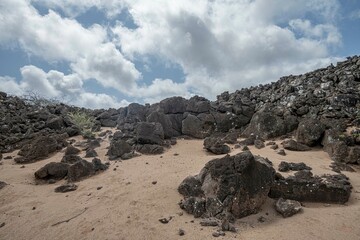 Poster - Volcanic countryside with stones, sand and bushes, The Ascension island