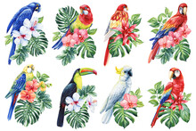 Set Of Tropical Bird Watercolor Illustration Hand Drawing, Parrot, Flowers And Palm Leaf In Isolated White Background