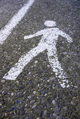 Wall Mural - Pedestrian signal on the asphalt