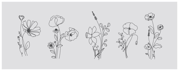 Wall Mural - minimal line flower and botanical graphic sketch drawing, trendy tiny tattoo design, floral elements vector illustration