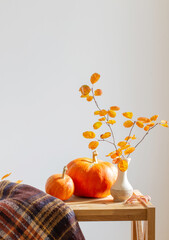 Poster - autumn branches with orange leaves in vase and pumpkins on white background