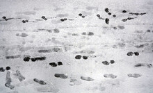 Human Footprints In The Snow