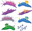 Set of sea slugs isolated on white background.	Aeolid nudibranchs and dorid nudibranchs.