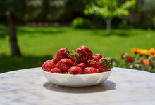 Fresh Ripe Organic Red Berry Strawberries In White Bowl On The Marble Table  . Backyard Background. Garden Harvest. Season Fruits. 