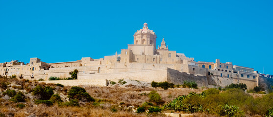 Wall Mural - panoramic view of Mdina, in Malta