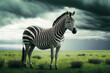 Zebra standing in the middle of field under cloudy sky with dark clouds. Generative AI.