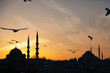 Suleymaniye Mosque Drone Photo, Fatih Istanbul, Turkey

