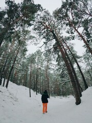 Poster - Human standing in front of snow covered forest