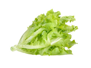 Wall Mural - Fresh green lettuce on transparent png