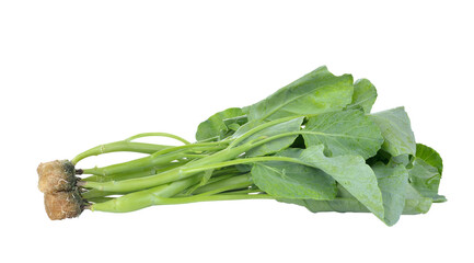 Sticker - chinese broccoli  on   transparent png