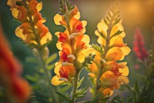 Snapdragons – A Vibrant Orange And Yellow Snapdragon In Full Bloom, AI Generated