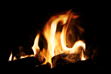 campfire on black background