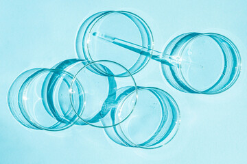 Wall Mural - Petri dish. A set of Petri cups. A pipette, glass tube. On a blue blue background.