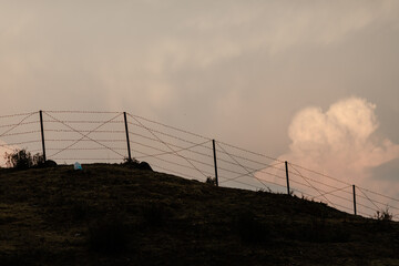 Sticker - fence against sky