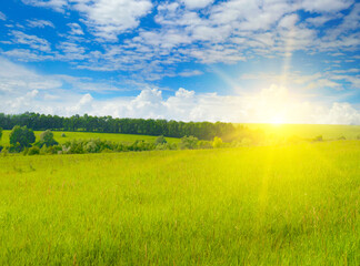 Wall Mural - Green wheat field and sunrise .