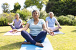 © Wavebreak Media - Happy diverse group of senior friends practicing yoga and meditating in garden