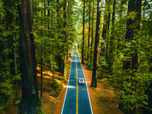 A Car Driving Over The Avenue Of The Giants Through The Redwoods